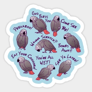 African Grey Parrots Funny Talking Sayings Sticker